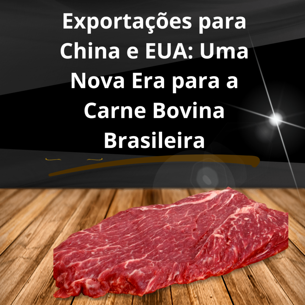 carne bovina exportação