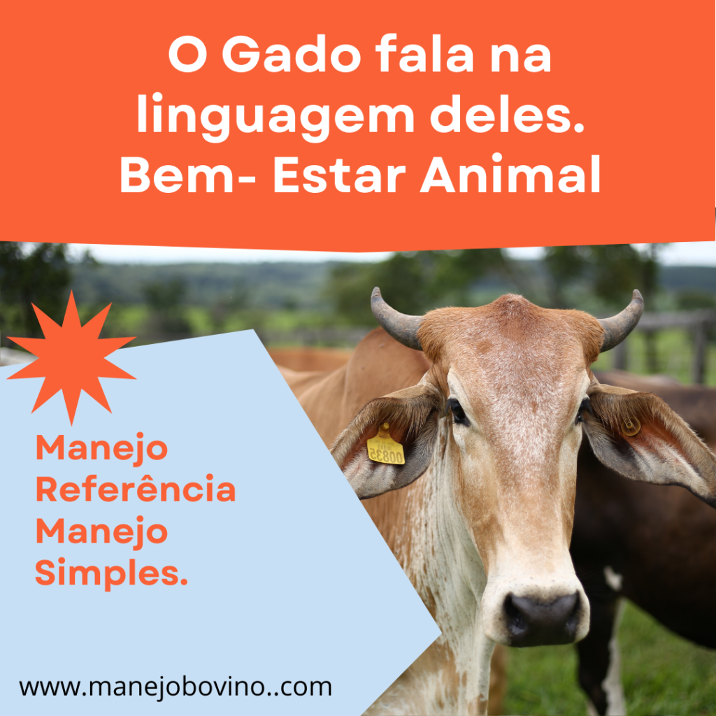 Bem estar animal