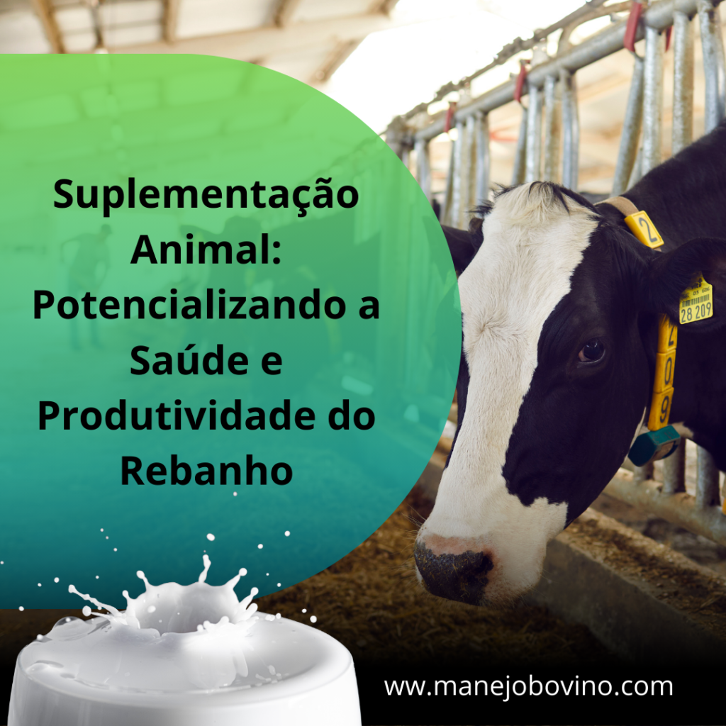 suplementação animal