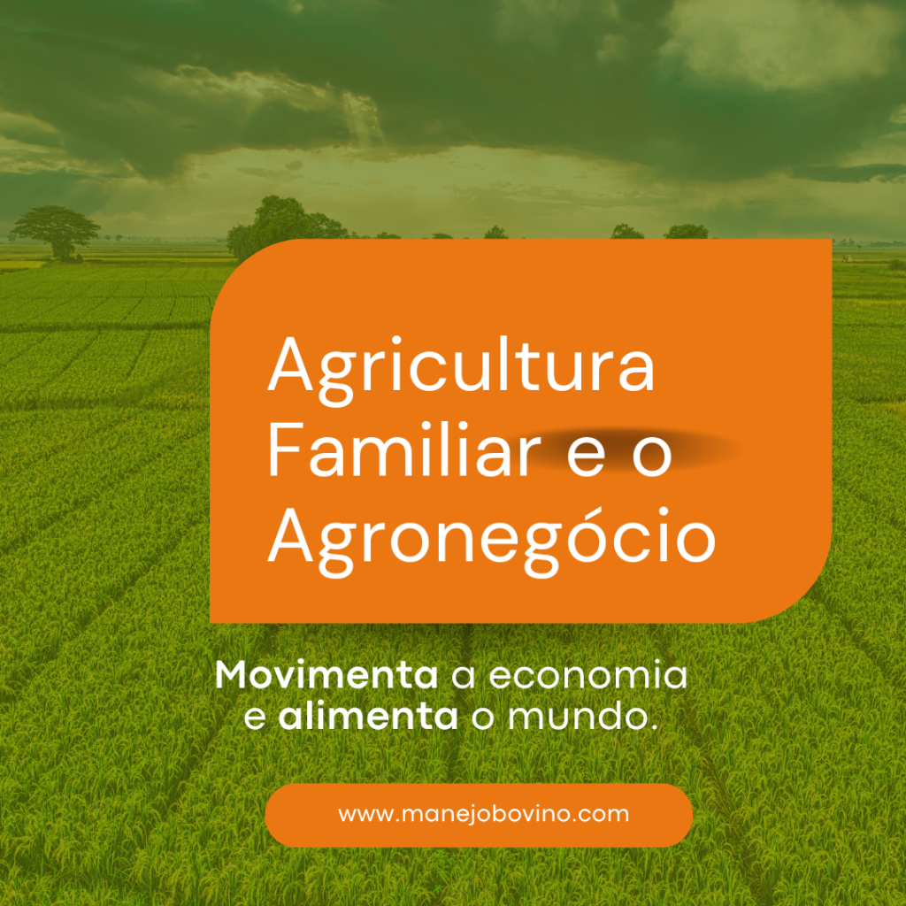 agricultura familiar e o agronegócio