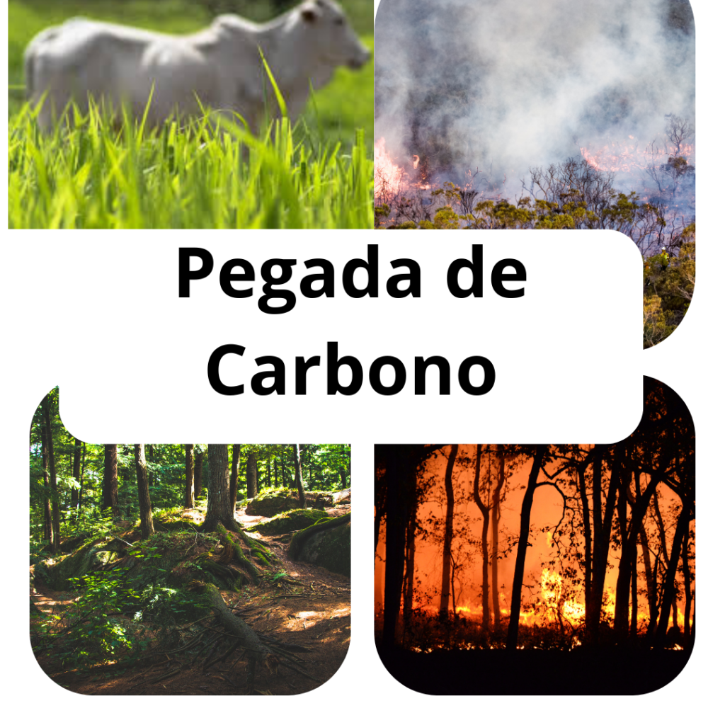 pegada de carbono