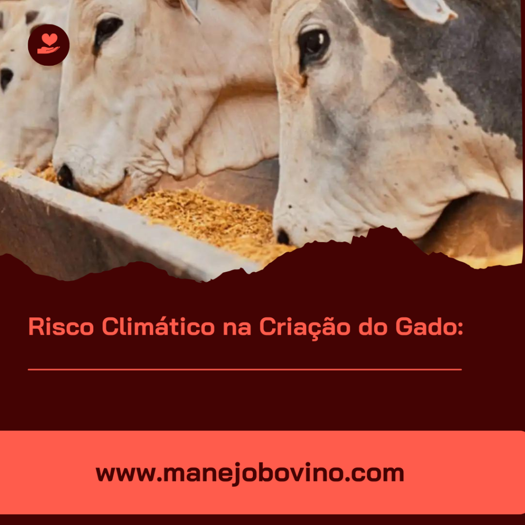 risco climático