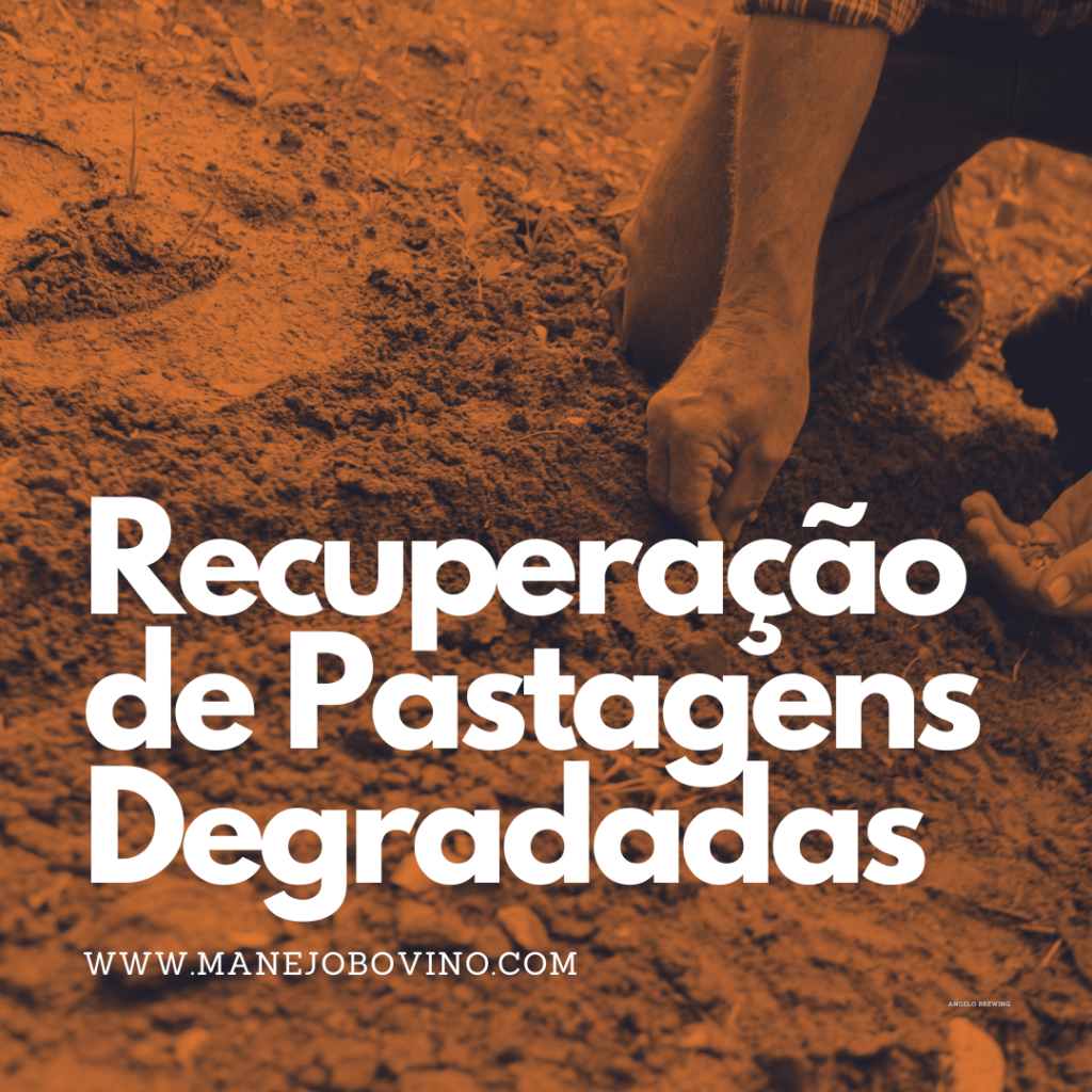 recuperação de pastagens degradadas