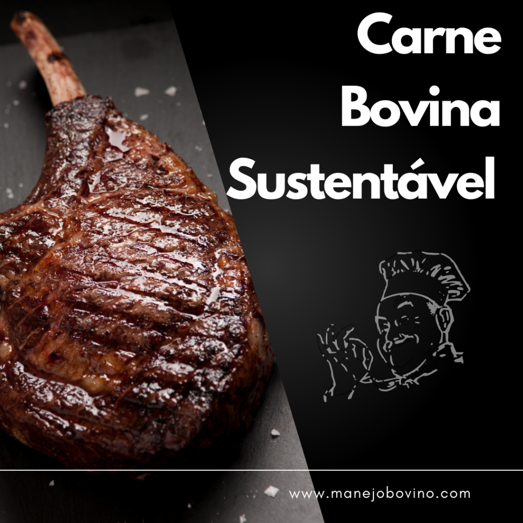 carne bovina sustentável