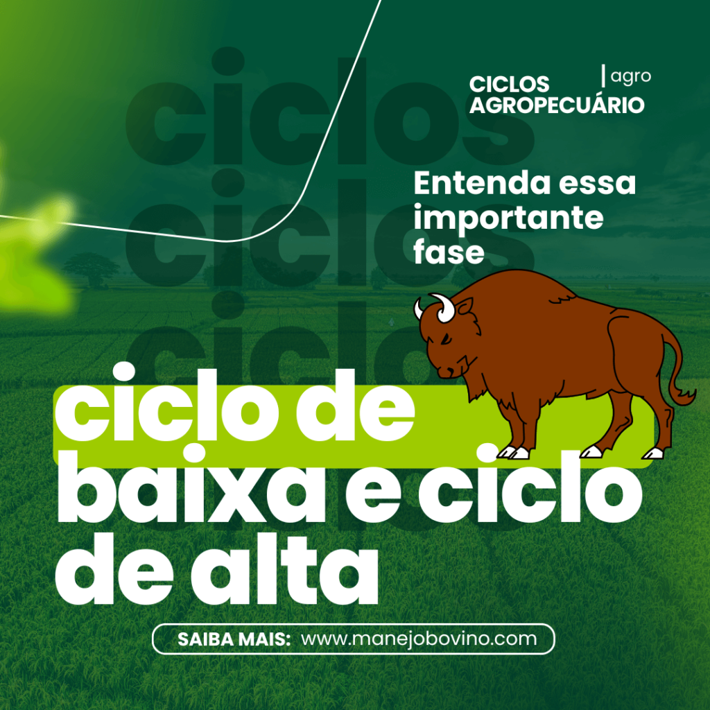 ciclo de baixa e ciclo de alta