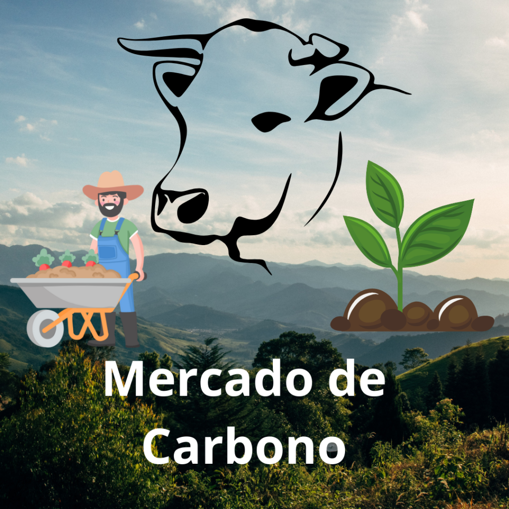 mercado de carbono