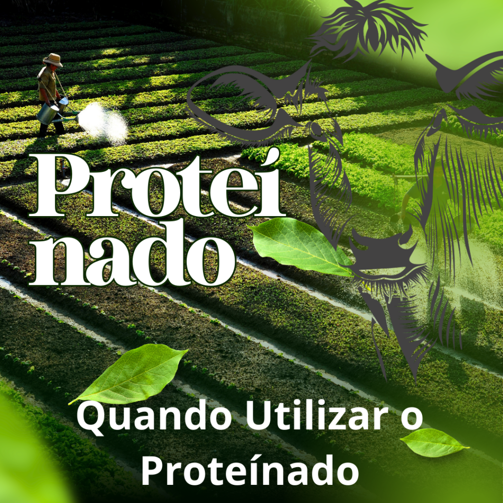 Proteínado