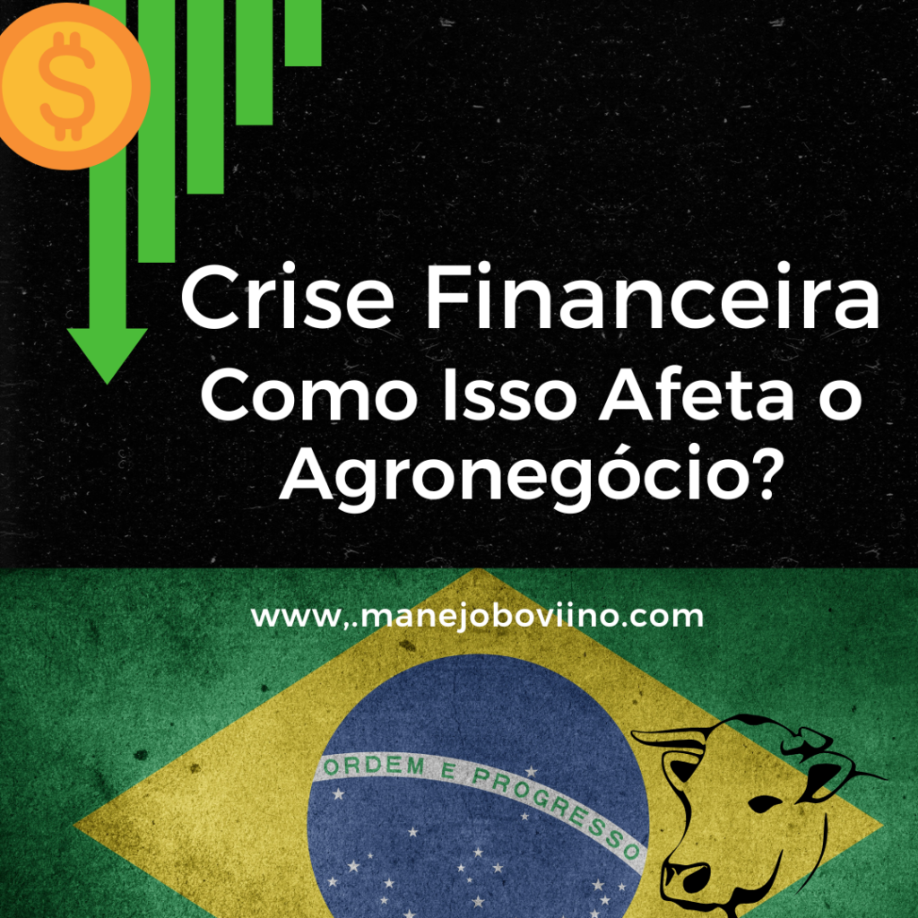 crise financeira