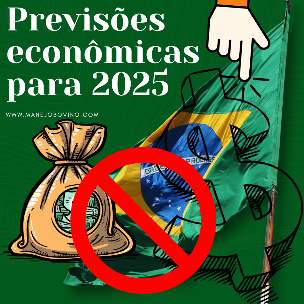 previsões econômicas para 2025