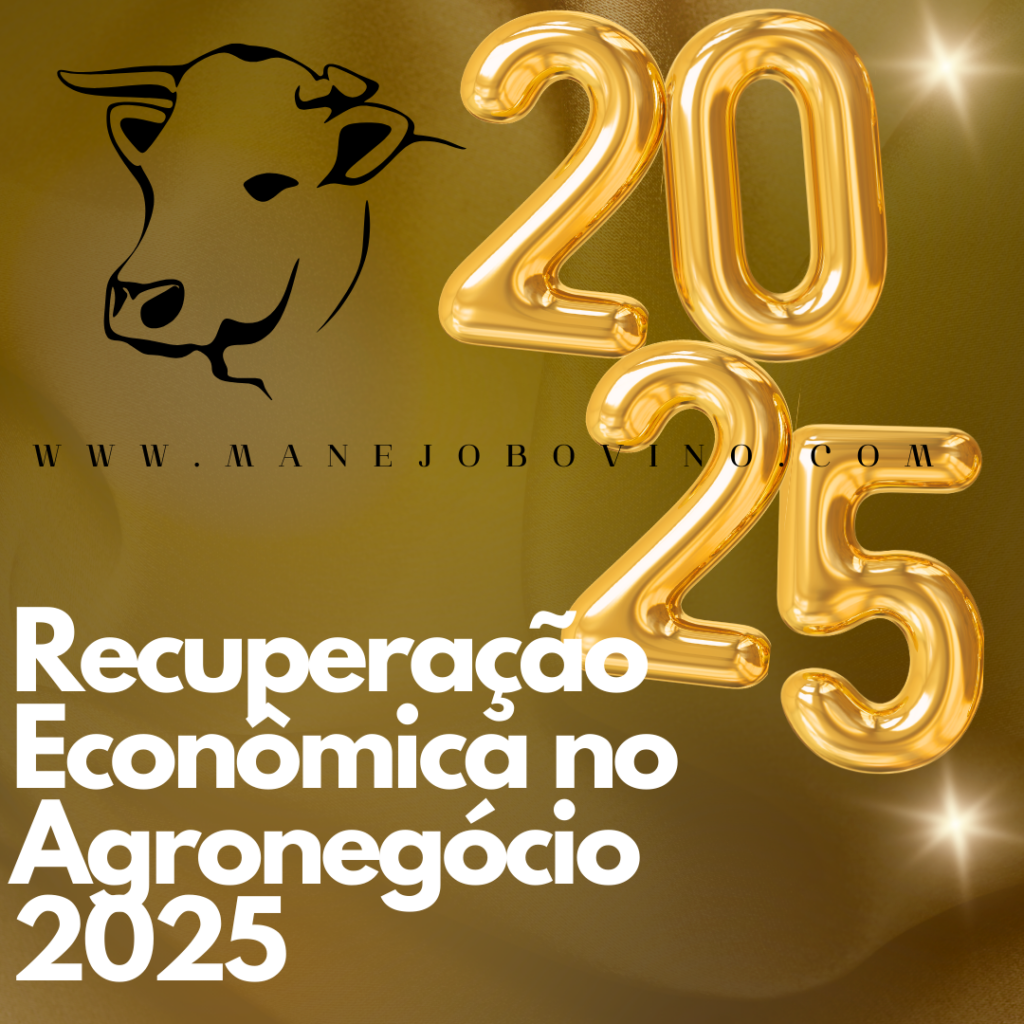 recuperação econômica