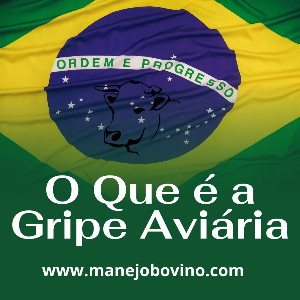 gripe aviária