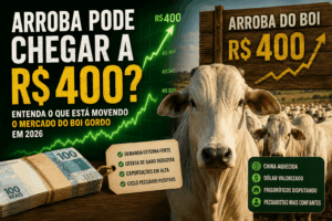 preço da arroba do boi